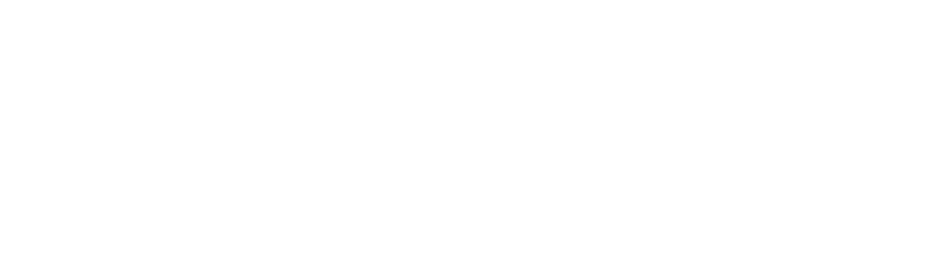pimworks logo